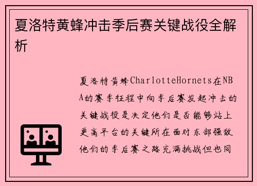 夏洛特黄蜂冲击季后赛关键战役全解析
