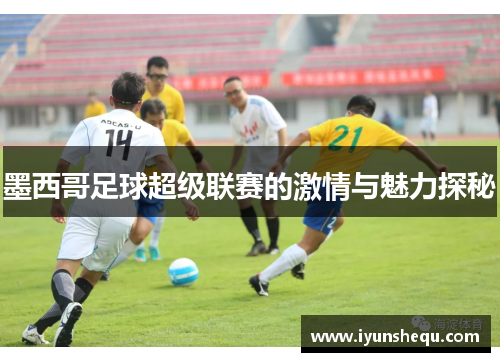 墨西哥足球超级联赛的激情与魅力探秘
