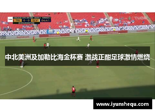 中北美洲及加勒比海金杯赛 激战正酣足球激情燃烧